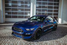 FORD SHELBY GT350 COBRA